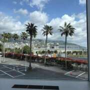 ヒメ日記 2025/03/15 20:39 投稿 りんご アネックスジャパン