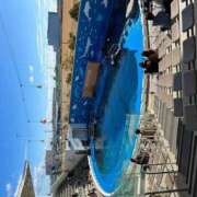 ヒメ日記 2025/03/16 14:29 投稿 りんご アネックスジャパン