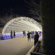 ヒメ日記 2025/03/16 15:49 投稿 りんご アネックスジャパン