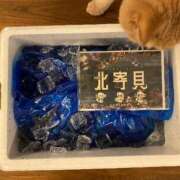 滝川 りこ 1番好き♡ 神戸RED DRAGON