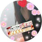 ヒメ日記 2025/11/29 12:18 投稿 まゆこ モアグループ南越谷人妻花壇