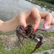 ヒメ日記 2025/06/18 15:27 投稿 えれな マリン池袋北口駅前店