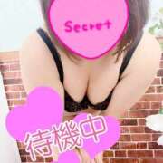 ヒメ日記 2024/12/22 19:21 投稿 まい モアグループ 土浦人妻花壇