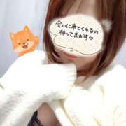 ヒメ日記 2024/12/26 19:57 投稿 まい モアグループ 土浦人妻花壇