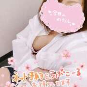 ヒメ日記 2025/03/27 14:18 投稿 まい モアグループ 土浦人妻花壇