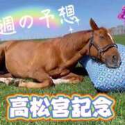 ヒメ日記 2025/03/30 10:33 投稿 まい モアグループ 土浦人妻花壇