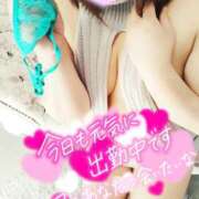 ヒメ日記 2025/04/02 12:03 投稿 まい モアグループ 土浦人妻花壇