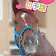 ヒメ日記 2025/04/06 10:33 投稿 まい モアグループ 土浦人妻花壇