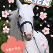 ヒメ日記 2025/04/13 09:03 投稿 まい モアグループ 土浦人妻花壇