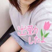 ヒメ日記 2025/04/14 11:12 投稿 まい モアグループ 土浦人妻花壇