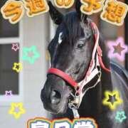 ヒメ日記 2025/04/20 10:06 投稿 まい モアグループ 土浦人妻花壇