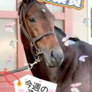 ヒメ日記 2025/04/26 10:03 投稿 まい モアグループ 土浦人妻花壇