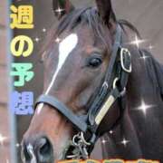 ヒメ日記 2025/05/04 12:03 投稿 まい モアグループ 土浦人妻花壇