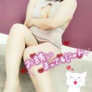 ヒメ日記 2025/05/07 13:51 投稿 まい モアグループ 土浦人妻花壇