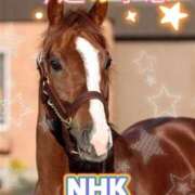 ヒメ日記 2025/05/11 10:03 投稿 まい モアグループ 土浦人妻花壇