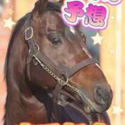 ヒメ日記 2025/06/08 10:03 投稿 まい モアグループ 土浦人妻花壇