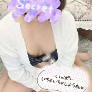 ヒメ日記 2025/09/14 12:06 投稿 まい モアグループ 土浦人妻花壇