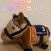 ヒメ日記 2025/11/29 16:03 投稿 まい モアグループ 土浦人妻花壇