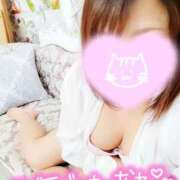 ヒメ日記 2025/12/19 14:21 投稿 まい モアグループ 土浦人妻花壇