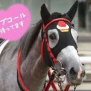 ヒメ日記 2026/02/02 11:57 投稿 まい モアグループ 土浦人妻花壇