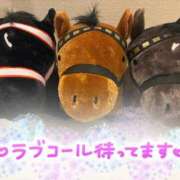 ヒメ日記 2026/02/14 12:03 投稿 まい モアグループ 土浦人妻花壇