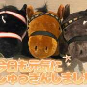 ヒメ日記 2026/09/11 11:59 投稿 まい モアグループ 土浦人妻花壇