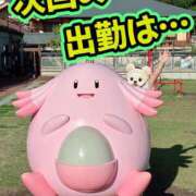 まい 🦭出勤日のお知らせ🦭 モアグループ 土浦人妻花壇