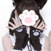 ヒメ日記 2025/02/22 09:00 投稿 まこ ミルキーラテ