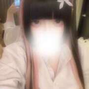 ヒメ日記 2025/04/25 08:00 投稿 まこ ミルキーラテ