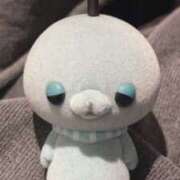 ヒメ日記 2025/04/26 10:21 投稿 まこ ミルキーラテ