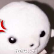 ヒメ日記 2025/05/29 08:00 投稿 まこ ミルキーラテ