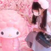 ヒメ日記 2025/06/26 08:00 投稿 まこ ミルキーラテ