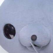 ヒメ日記 2025/10/03 11:07 投稿 まこ ミルキーラテ