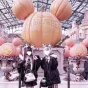 ヒメ日記 2025/10/24 17:28 投稿 まこ ミルキーラテ