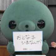 ヒメ日記 2026/02/06 14:06 投稿 まこ ミルキーラテ