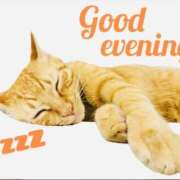 ヒメ日記 2025/03/22 22:00 投稿 りり 進撃の妻