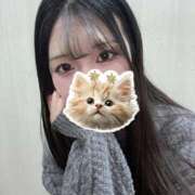 ヒメ日記 2024/12/29 18:56 投稿 美山 さき メルビス＆アトリアーナ