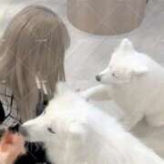 ヒメ日記 2025/11/14 17:57 投稿 らんか スピードエコ梅田店