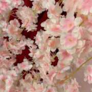 ヒメ日記 2025/03/08 08:22 投稿 ゆあ 東京妻