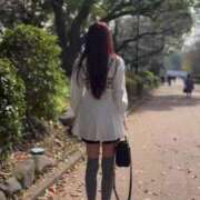 ヒメ日記 2025/03/30 11:28 投稿 ゆあ 東京妻