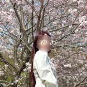 ヒメ日記 2025/04/02 04:18 投稿 ゆあ 東京妻