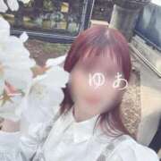 ヒメ日記 2025/04/03 11:18 投稿 ゆあ 東京妻