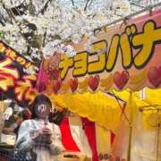 ヒメ日記 2025/04/18 04:18 投稿 ゆあ 東京妻