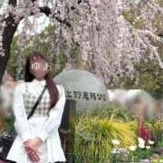 ヒメ日記 2025/04/23 04:18 投稿 ゆあ 東京妻