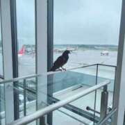 ヒメ日記 2025/10/28 11:18 投稿 ゆあ 東京妻