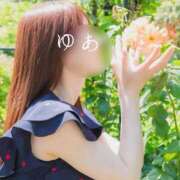 ヒメ日記 2026/05/12 11:08 投稿 ゆあ 東京妻