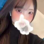 ヒメ日記 2024/12/20 11:15 投稿 こべに BLUE BIRD (ブルーバード) 上越