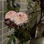 ヒメ日記 2025/02/01 12:05 投稿 ふうか(奥様) 姫マーケット