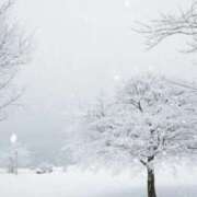 ヒメ日記 2025/02/08 23:35 投稿 ふうか(奥様) 姫マーケット