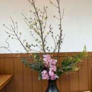 ヒメ日記 2025/03/04 12:05 投稿 ふうか(奥様) 姫マーケット